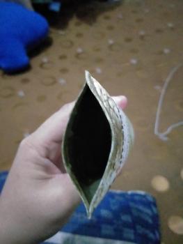 Product Review of Himalaya Purifying Neem Mask from s**a 0