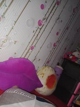Product Review of Bizzarpillow Bantal Snack Jumbo Size L BZ010 from s**7 0