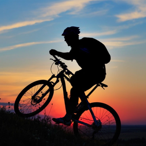 bike accessories store