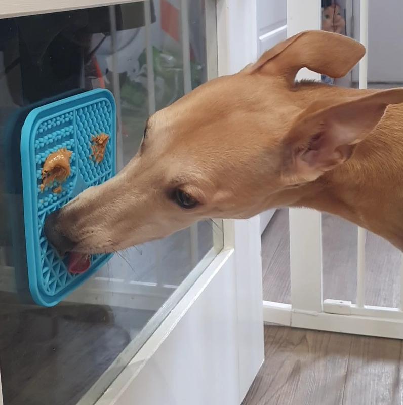 GGPets Lick Mat Slow Feeder for Cats and Dogs - BPA-Free Silicone, 15cmx15cm, Microwave and Freezer Safe 4
