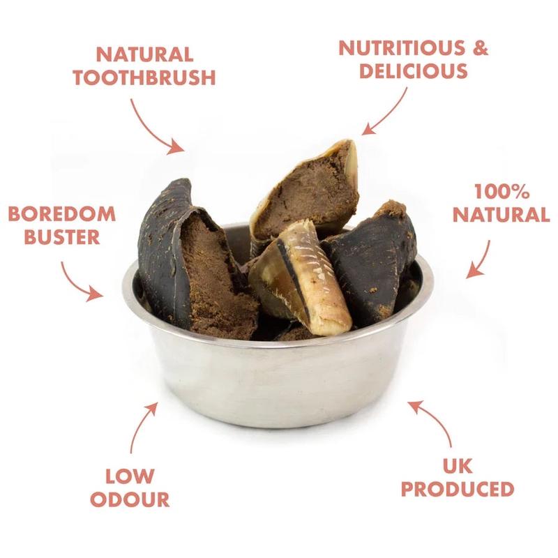 Meaty Filled Cow Hoove Natural Dog Treat 1