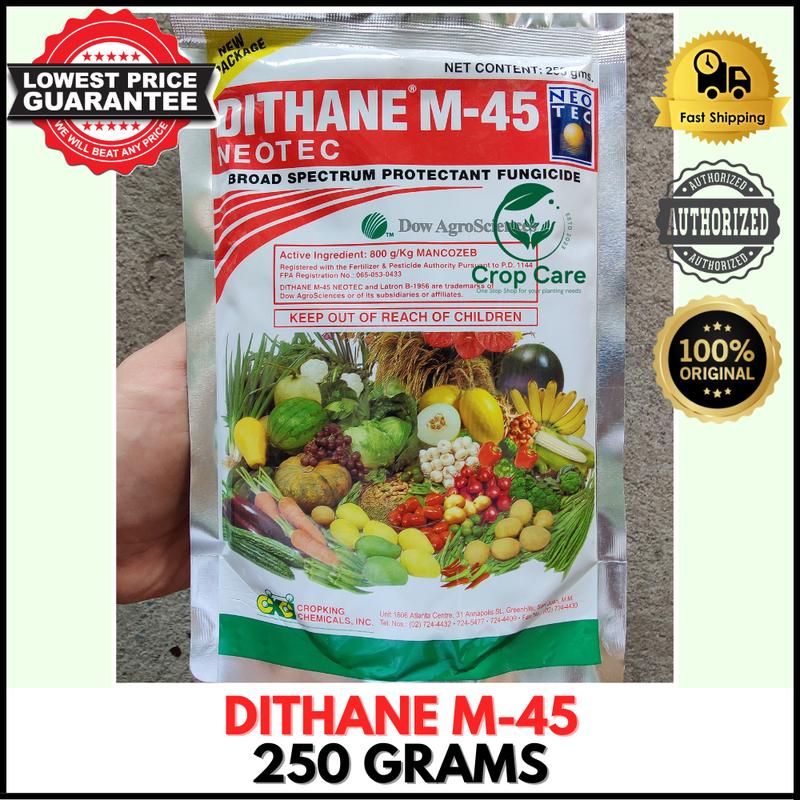 DITHANE M-45 (BROAD SPECTRUM PROTECTANT FUNGICIDE) ORIGINAL - TikTok ...