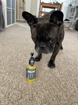 Product Review of Natural Flea Protect Spray from S**a T**t 0
