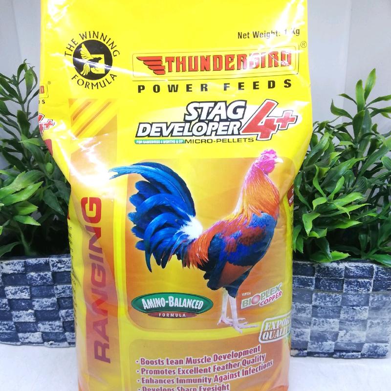 Thunderbird Stag Developer 4+Micro - Pellets - TikTok Shop Philippines