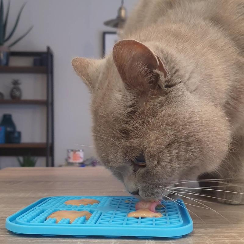 GGPets Lick Mat Slow Feeder for Cats and Dogs - BPA-Free Silicone, 15cmx15cm, Microwave and Freezer Safe 5