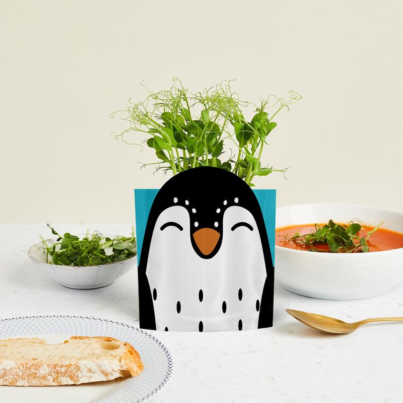 Greens & Greetings: Sonny the Penguin - Growable Greetings Card 2