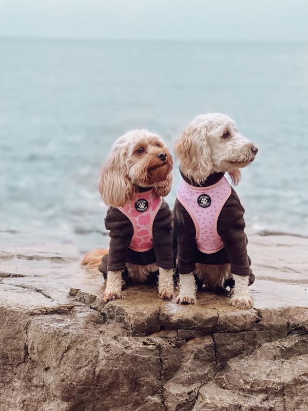Reversible Pink Cow Print/Hearts Harness 4