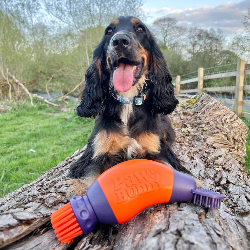Paw Cleaning Brush 5
