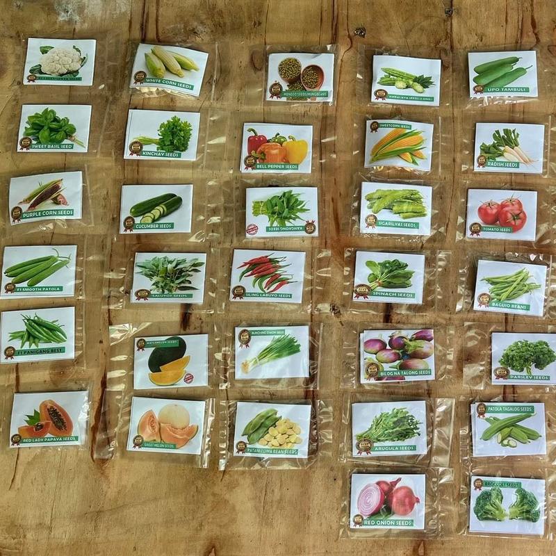 HIGH QUALITY VEGETABLE SEEDS! (Pechay, Mustasa, Tomato, Talong, Sitaw, Ampalaya, Onion, Kalabasa, Carrot, Sigarilyas, Bell Pepper, Sili, Patola, Upo)