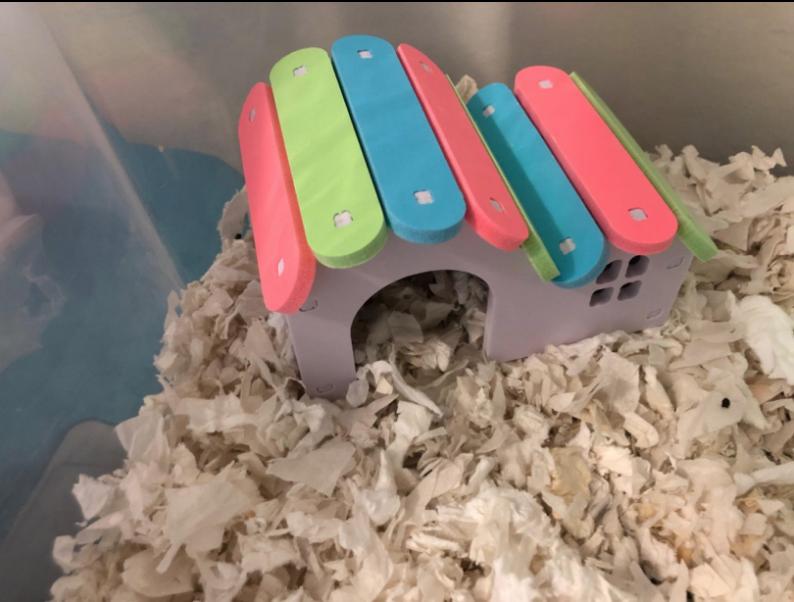 Photo inspiration: Visual Reference: Hamster Pvc Multi Color Roof House
