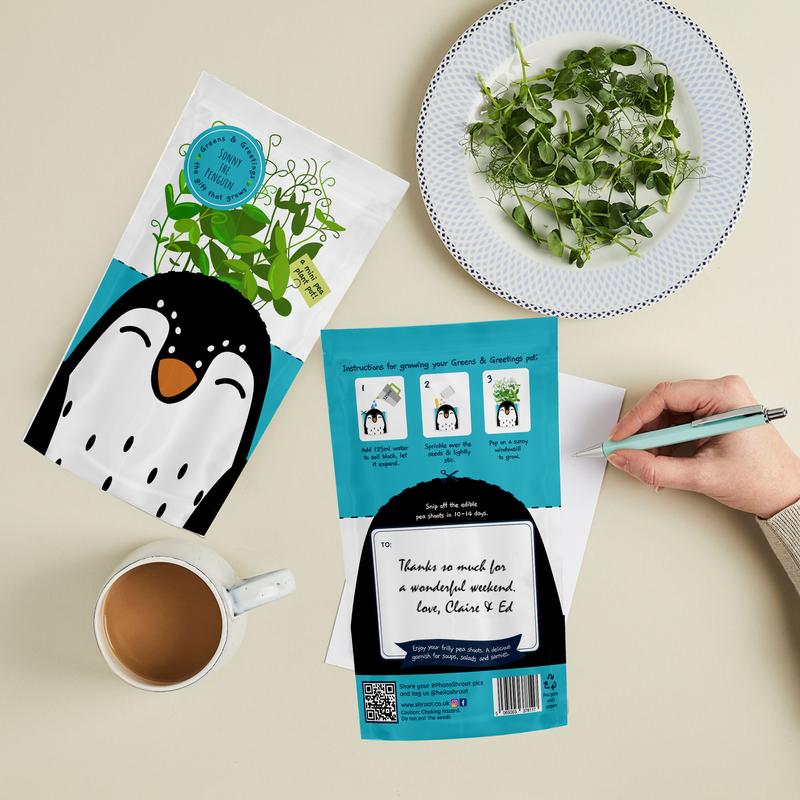 Greens & Greetings: Sonny the Penguin - Growable Greetings Card 1