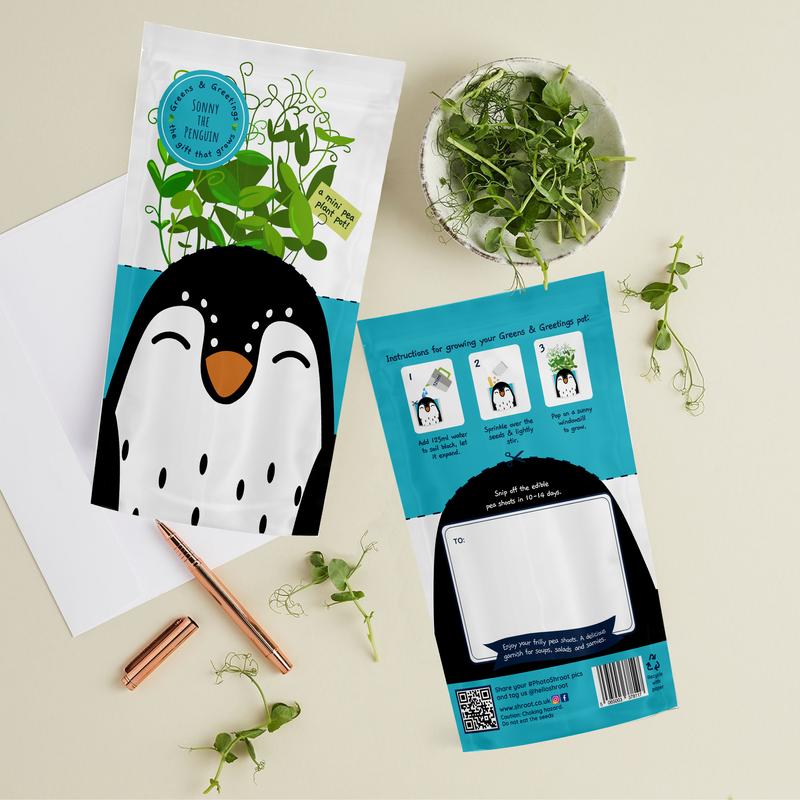 Greens & Greetings: Sonny the Penguin - Growable Greetings Card 3