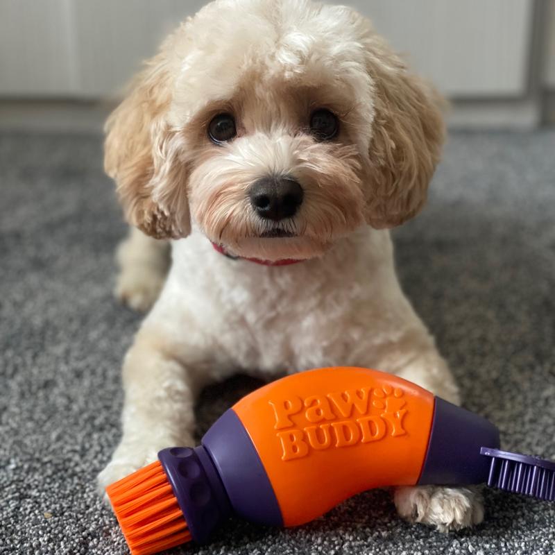 Paw Cleaning Brush 1